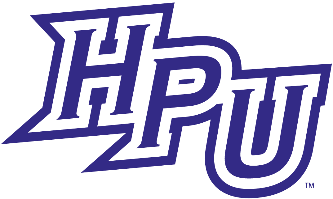High Point Panthers logos iron-ons